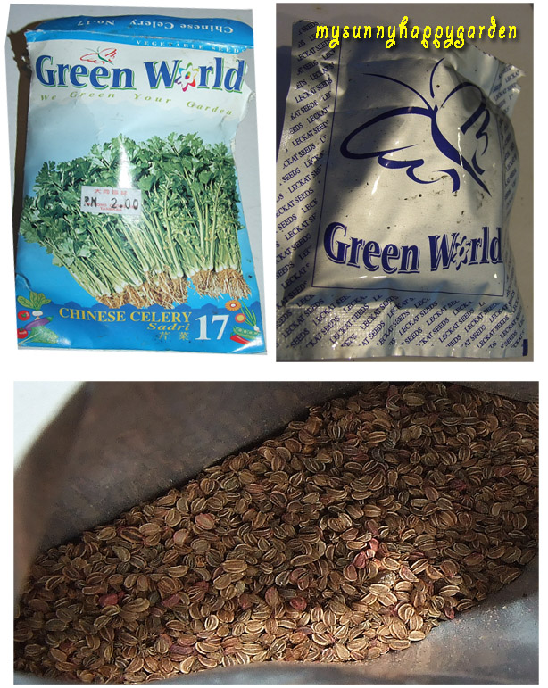 My Sunny Happy Garden Growing Chinese Celery